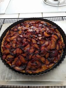 Picture of a Plum Tart